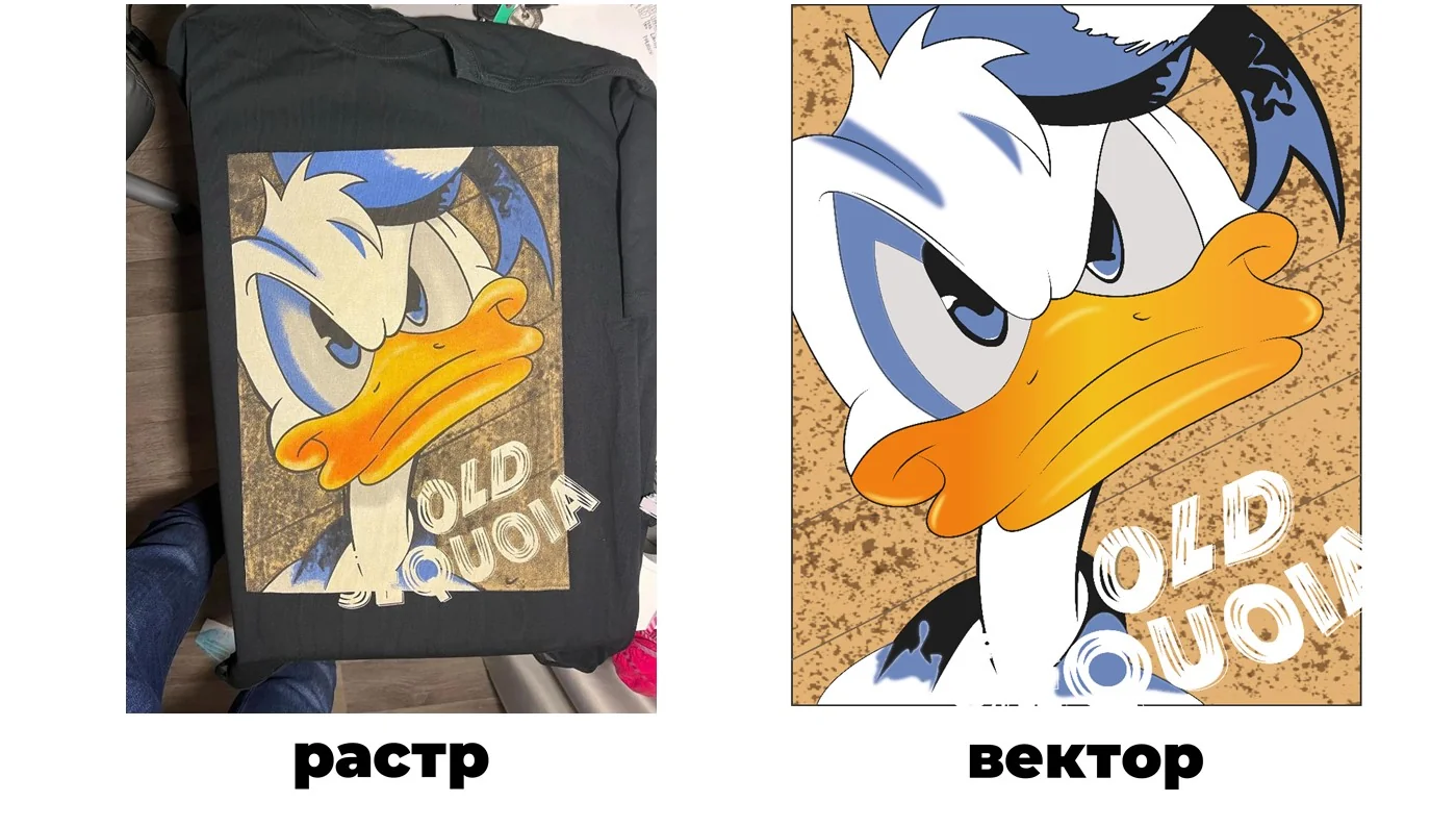 Сравнение принта и векторного персонажа